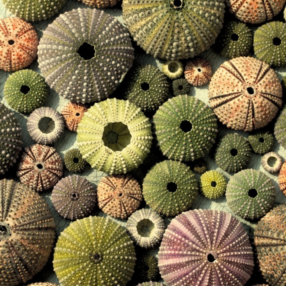 Closet is Closed. Meet your Posher, Kate